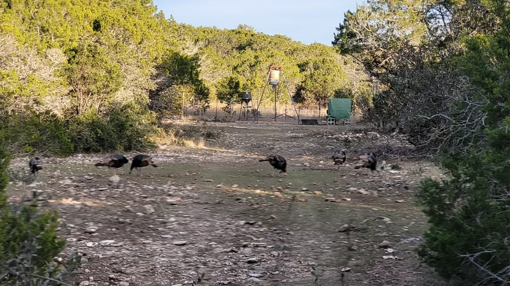 Private Road 3150 Brackettville, TX 78832
