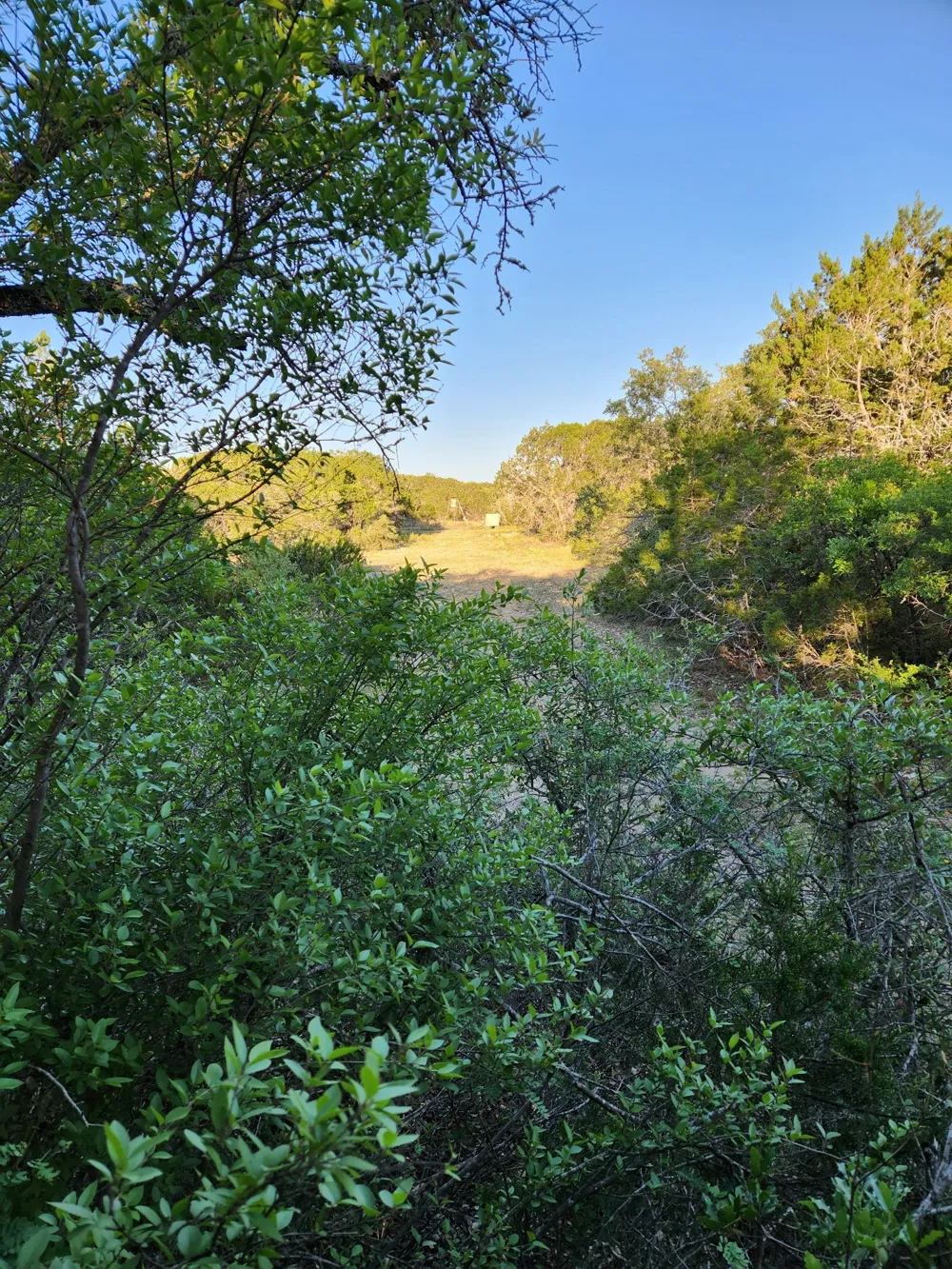 Private Road 3150 Brackettville, TX 78832