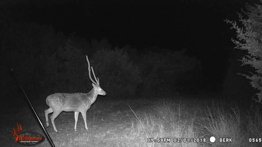 Private Road 3150 Brackettville, TX 78832
