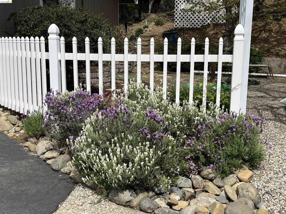 20883 Lynn Lane Sonora, CA 95370