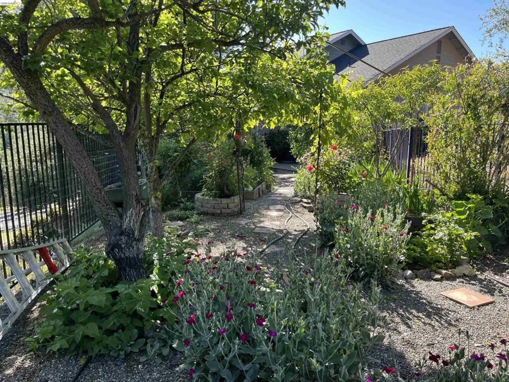 20883 Lynn Lane Sonora, CA 95370