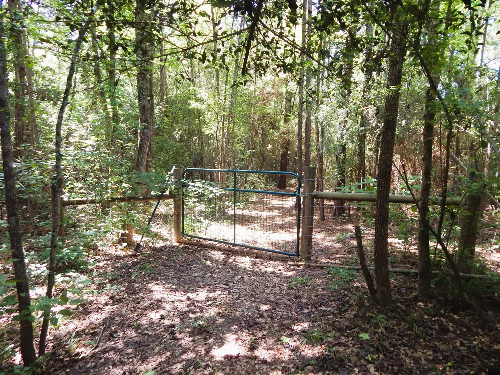 8909 FM 1795 Big Sandy, TX 75755