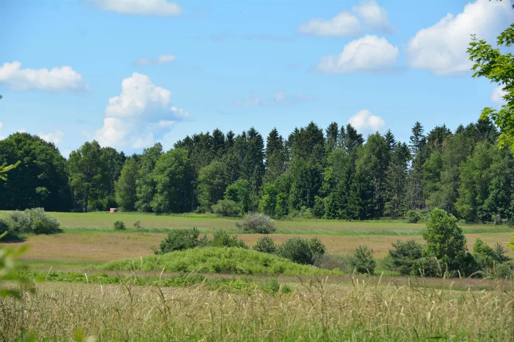 3102 S 9 ROAD Slagle Township, MI 49638