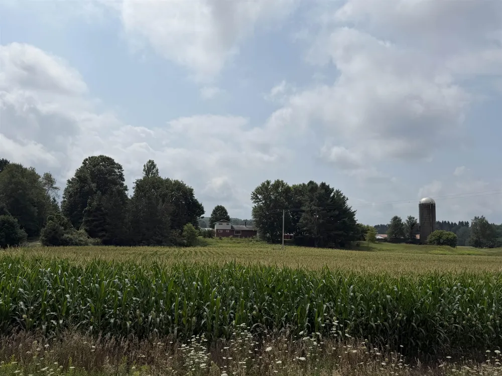 3102 S 9 ROAD Slagle Township, MI 49638