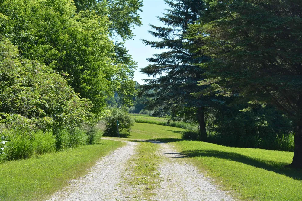3102 S 9 ROAD Slagle Township, MI 49638