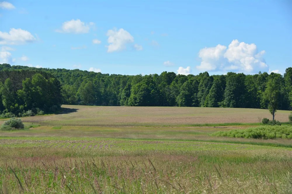 3102 S 9 ROAD Slagle Township, MI 49638