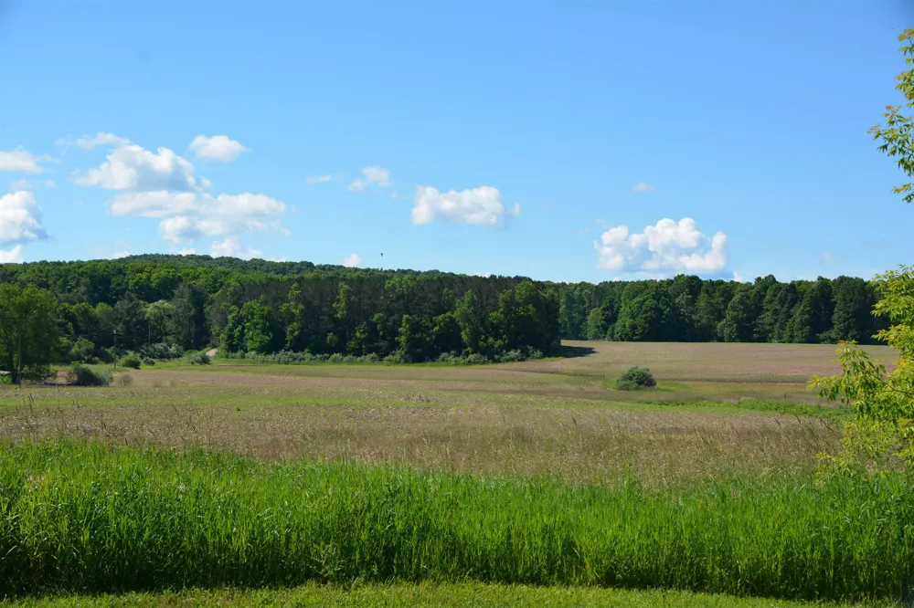 3102 S 9 ROAD Slagle Township, MI 49638