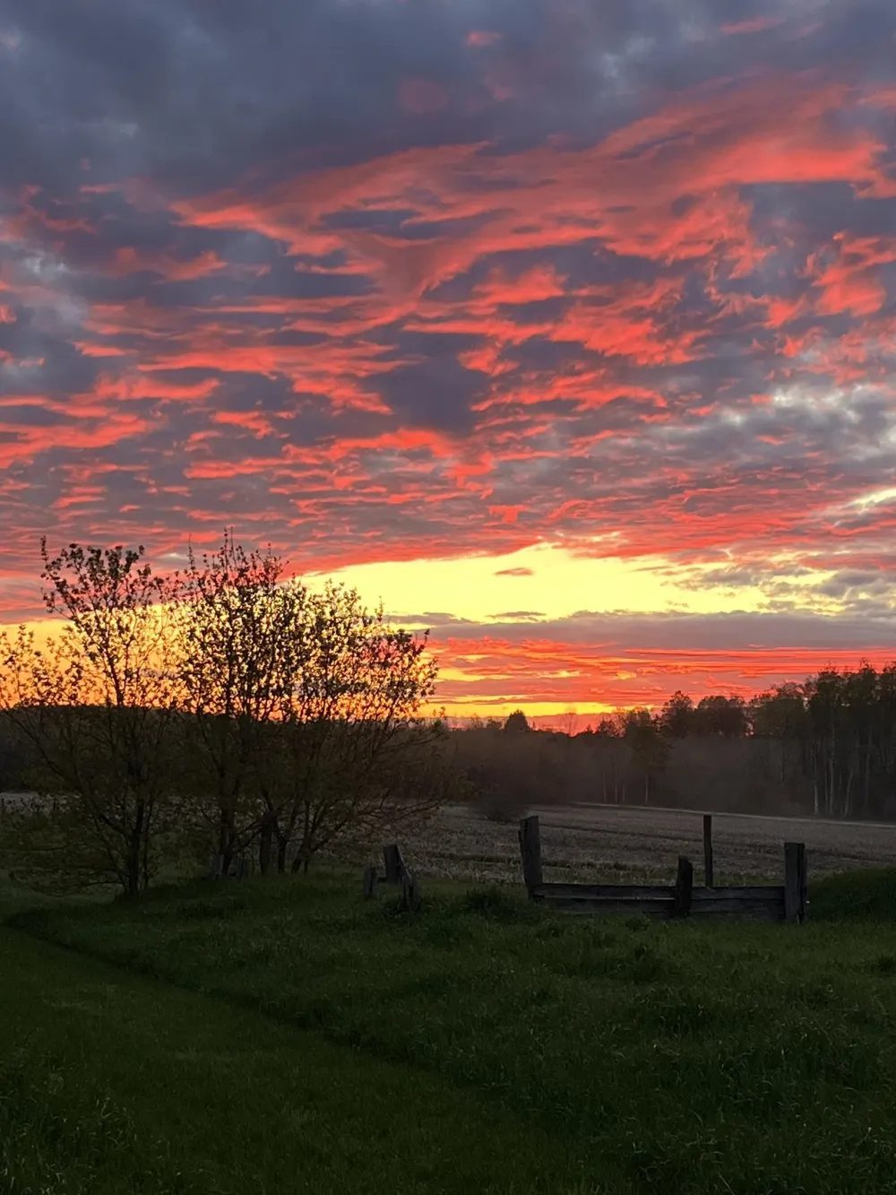 3102 S 9 ROAD Slagle Township, MI 49638