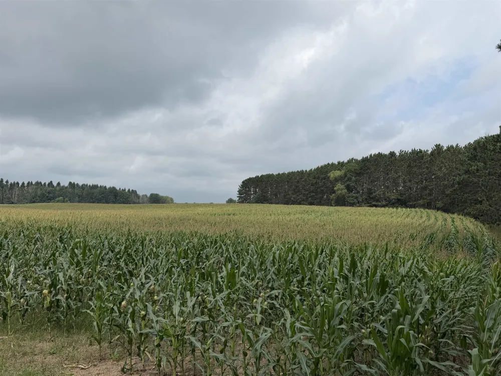 3102 S 9 ROAD Slagle Township, MI 49638