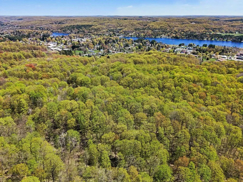 Dawson Lane Central Lake Township, MI 49622