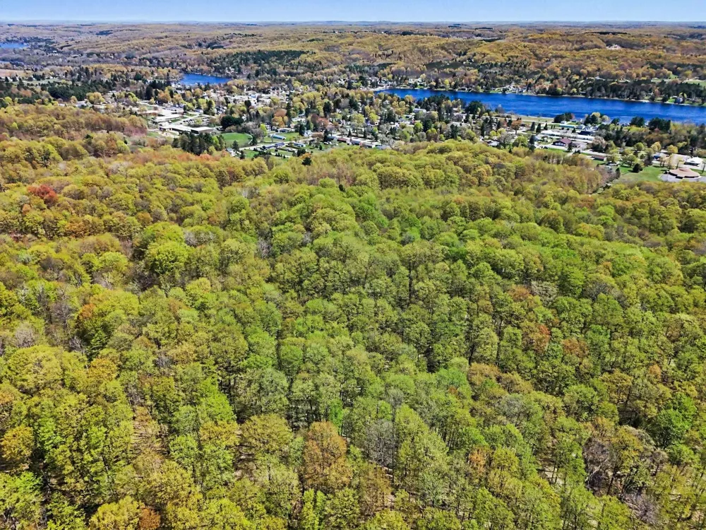 Dawson Lane Central Lake Township, MI 49622