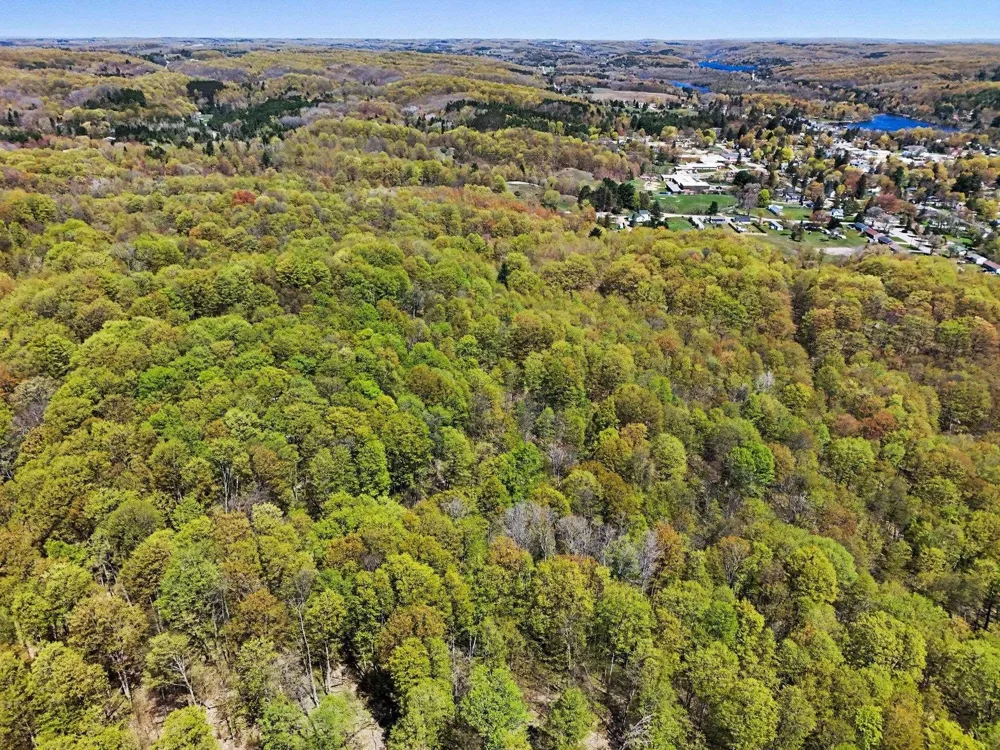 Dawson Lane Central Lake Township, MI 49622
