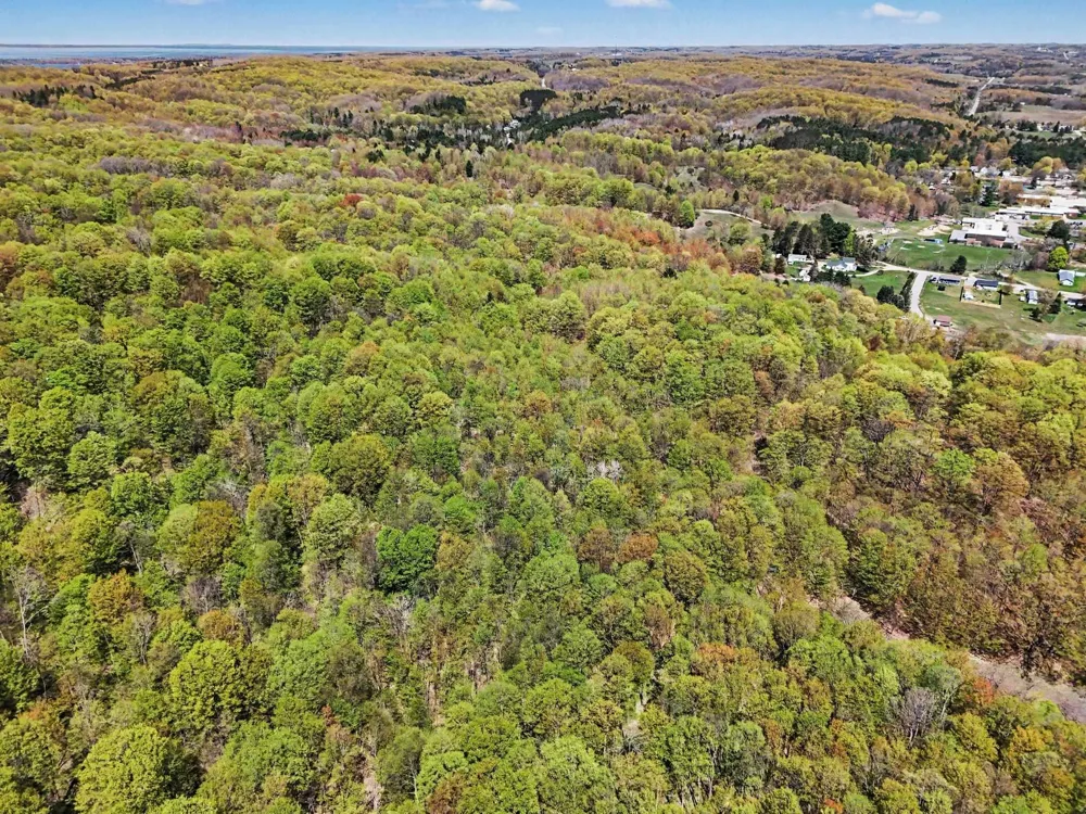 Dawson Lane Central Lake Township, MI 49622