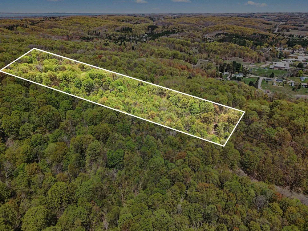 Dawson Lane Central Lake Township, MI 49622