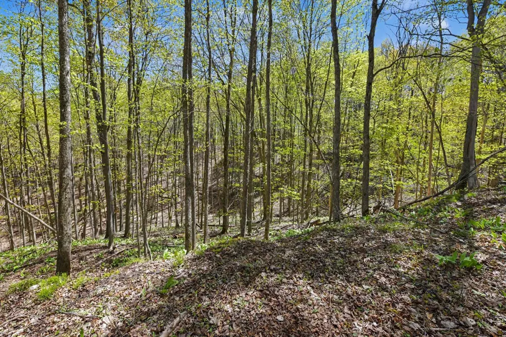 Dawson Lane Central Lake Township, MI 49622