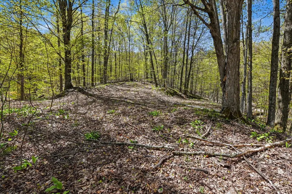 Dawson Lane Central Lake Township, MI 49622