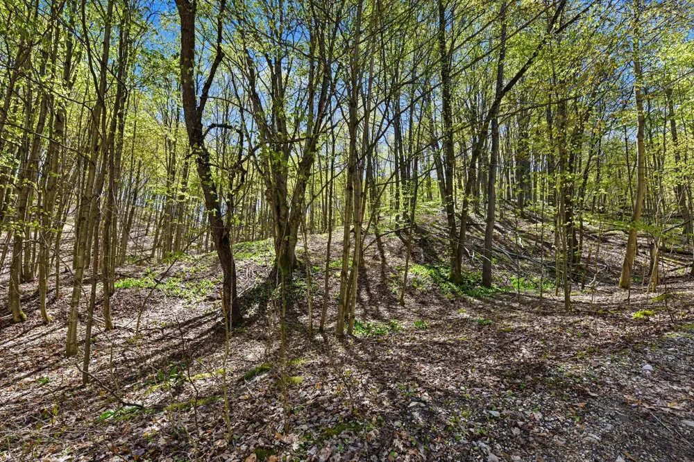 Dawson Lane Central Lake Township, MI 49622