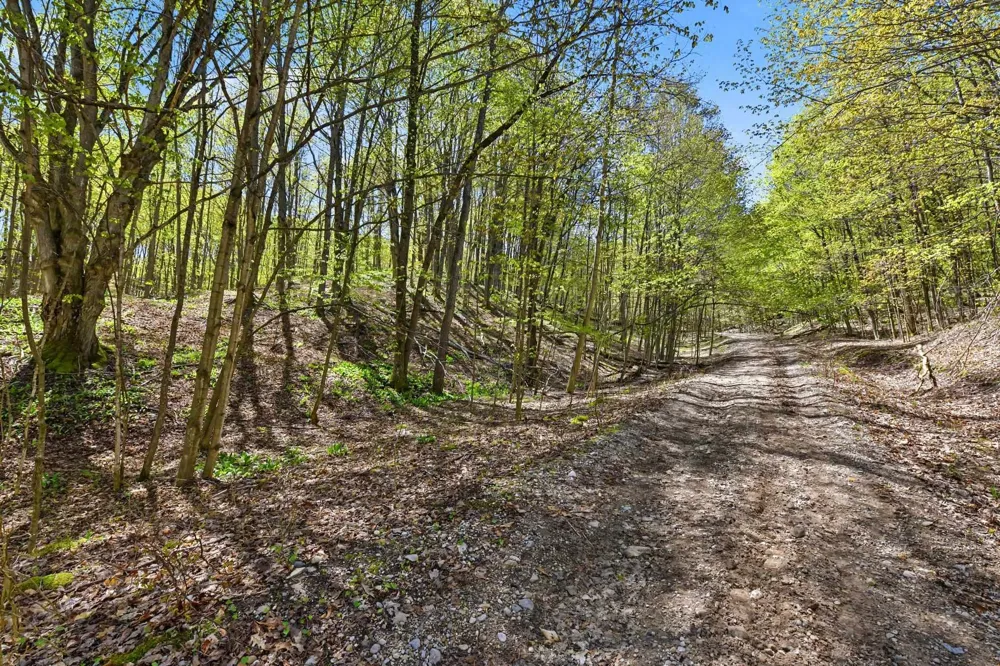 Dawson Lane Central Lake Township, MI 49622