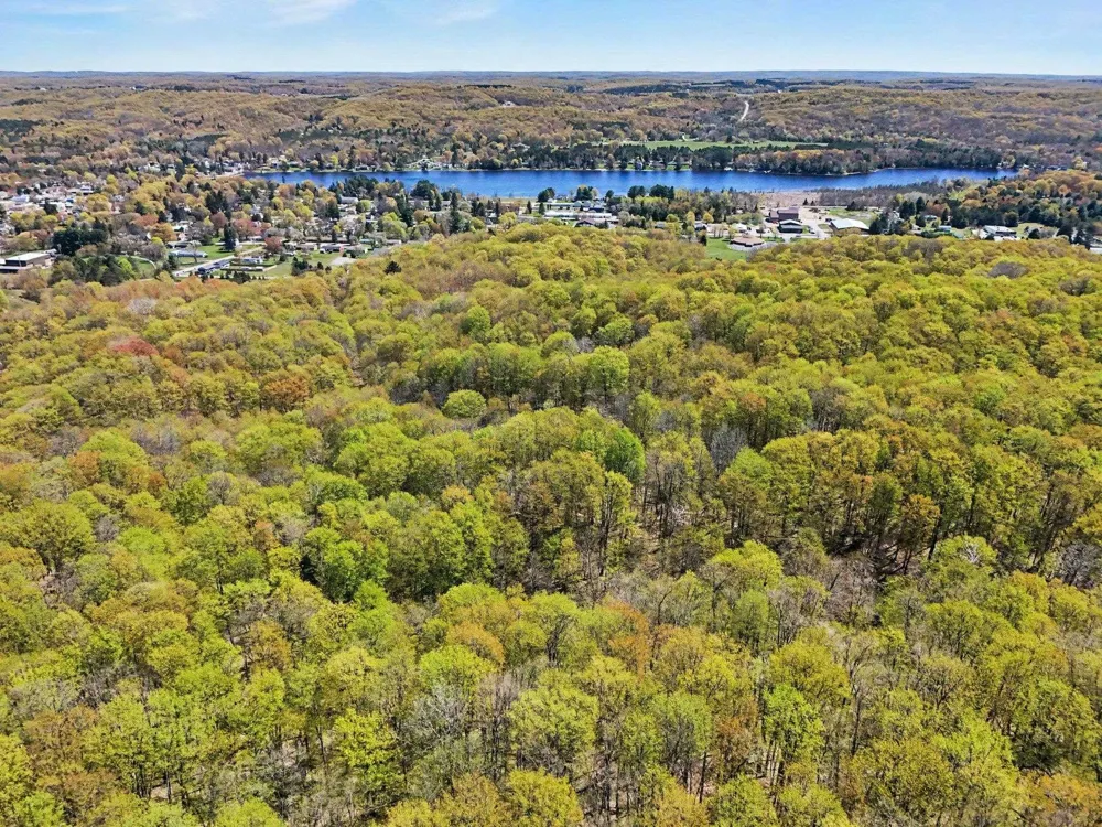 Dawson Lane Central Lake Township, MI 49622