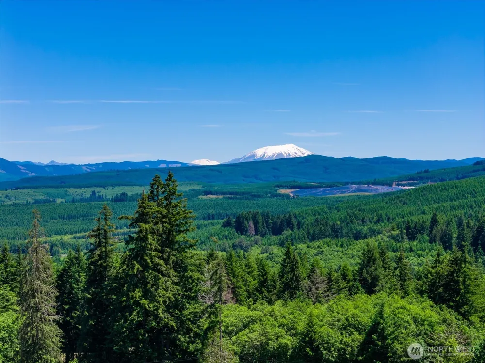 0 S Silver Lake Lot #7 Road Castle Rock, WA 98611