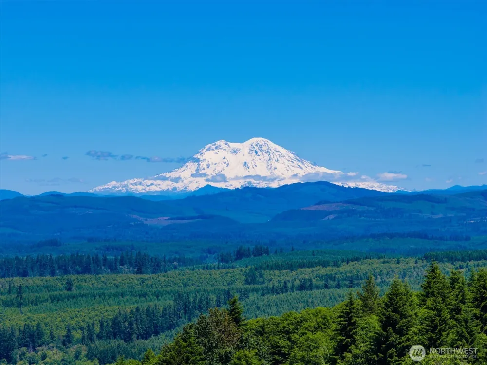 0 S Silver Lake Lot #7 Road Castle Rock, WA 98611