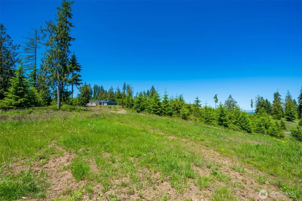 0 S Silver Lake Lot #7 Road Castle Rock, WA 98611