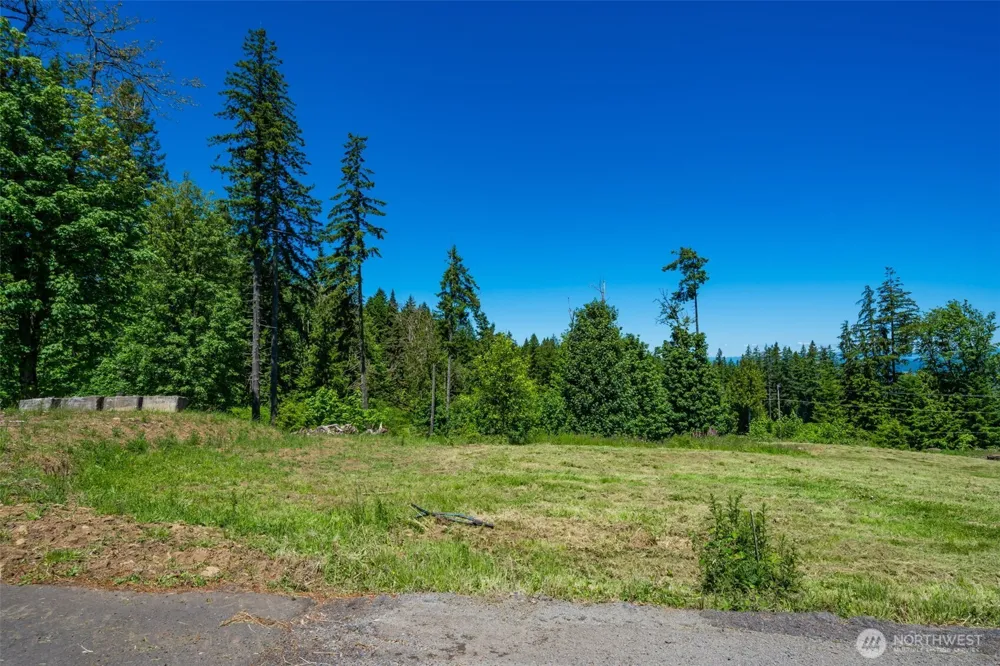 0 S Silver Lake Lot #7 Road Castle Rock, WA 98611