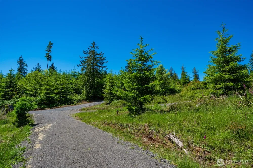 0 S Silver Lake Lot #7 Road Castle Rock, WA 98611