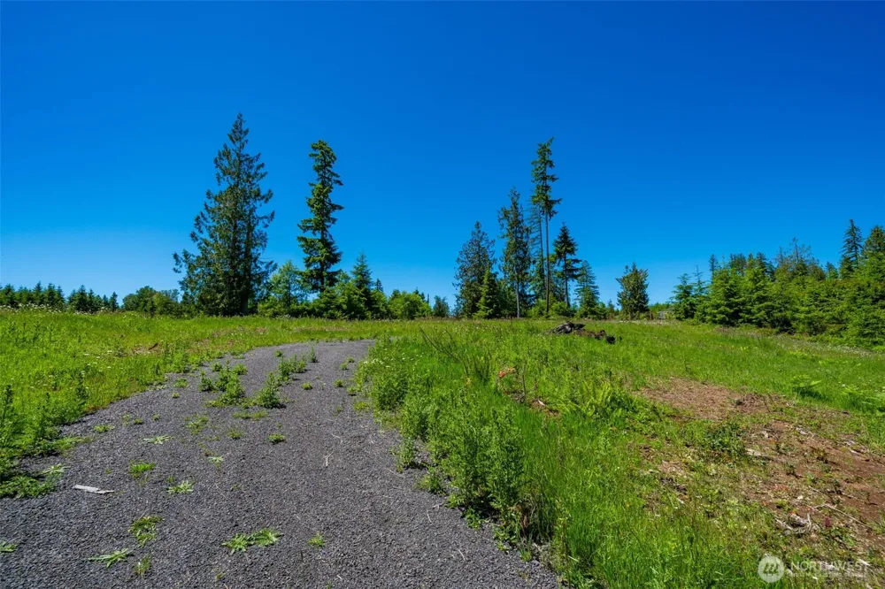 0 S Silver Lake Lot #7 Road Castle Rock, WA 98611