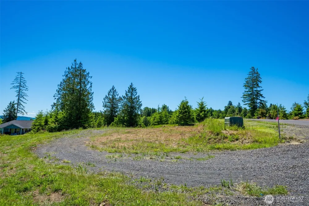 0 S Silver Lake Lot #7 Road Castle Rock, WA 98611