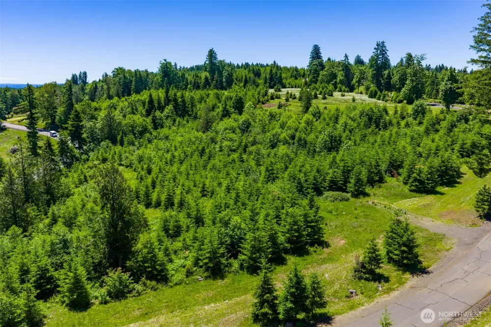 0 S Silver Lake Lot #7 Road Castle Rock, WA 98611