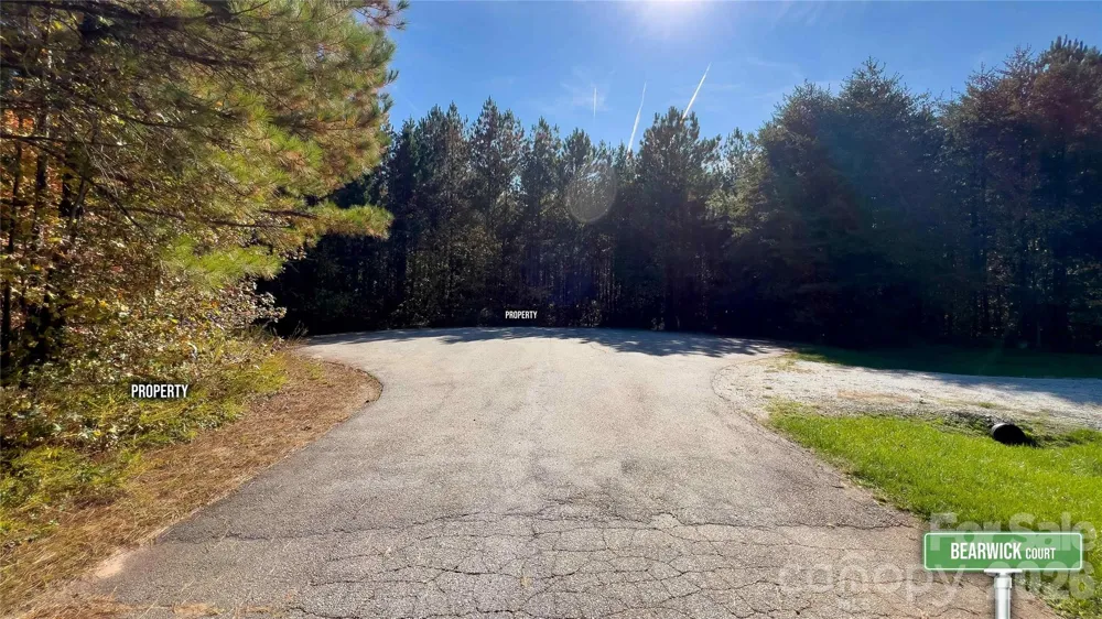 1120 Bearwick Court Woodleaf, NC 27054
