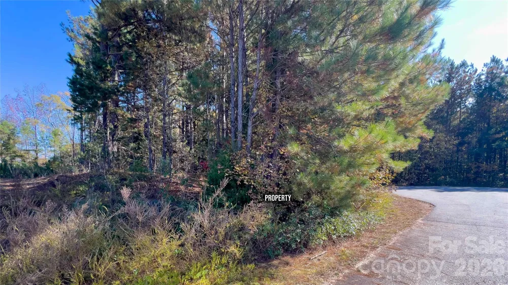 1120 Bearwick Court Woodleaf, NC 27054