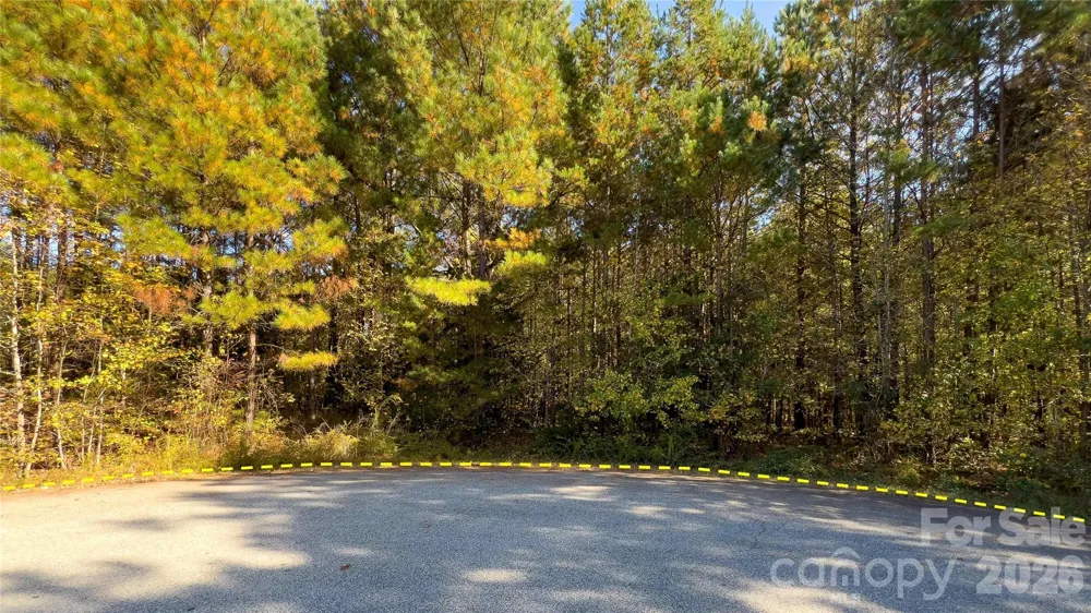 1120 Bearwick Court Woodleaf, NC 27054