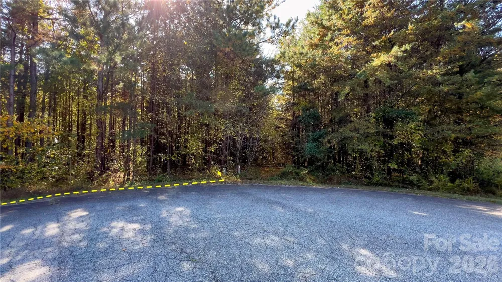1120 Bearwick Court Woodleaf, NC 27054