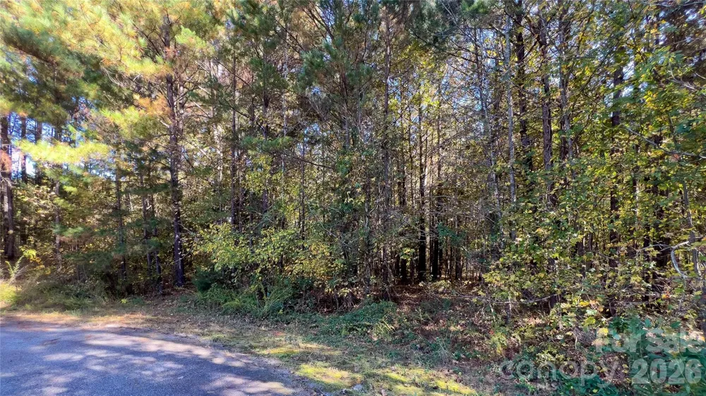 1120 Bearwick Court Woodleaf, NC 27054