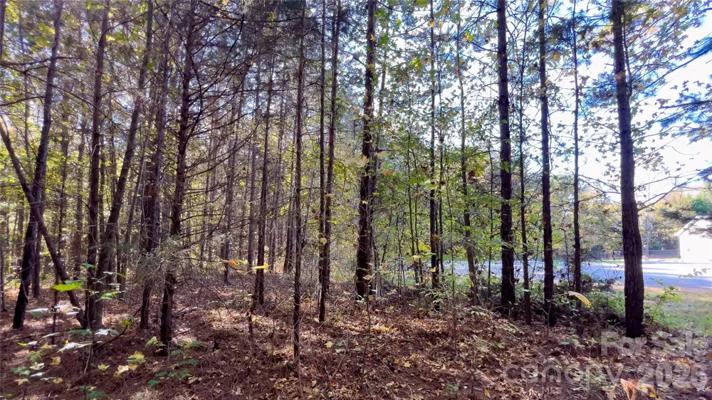 1120 Bearwick Court Woodleaf, NC 27054