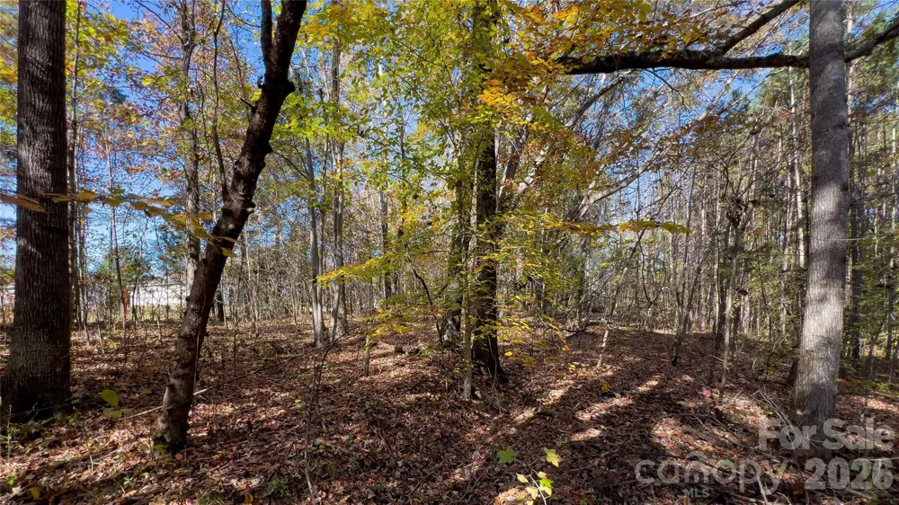1120 Bearwick Court Woodleaf, NC 27054