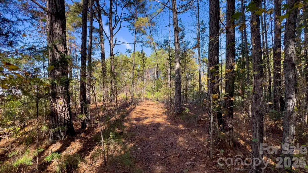1120 Bearwick Court Woodleaf, NC 27054