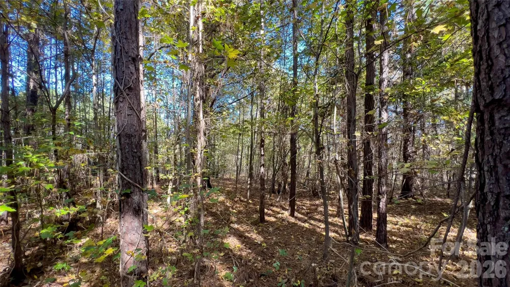 1120 Bearwick Court Woodleaf, NC 27054