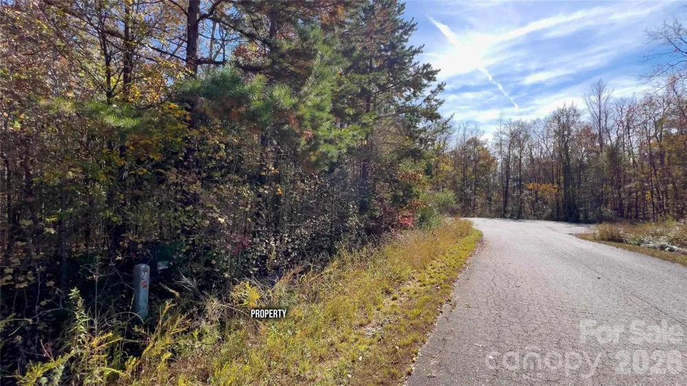 1120 Bearwick Court Woodleaf, NC 27054