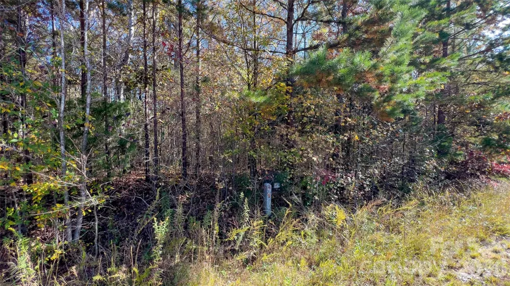 1120 Bearwick Court Woodleaf, NC 27054