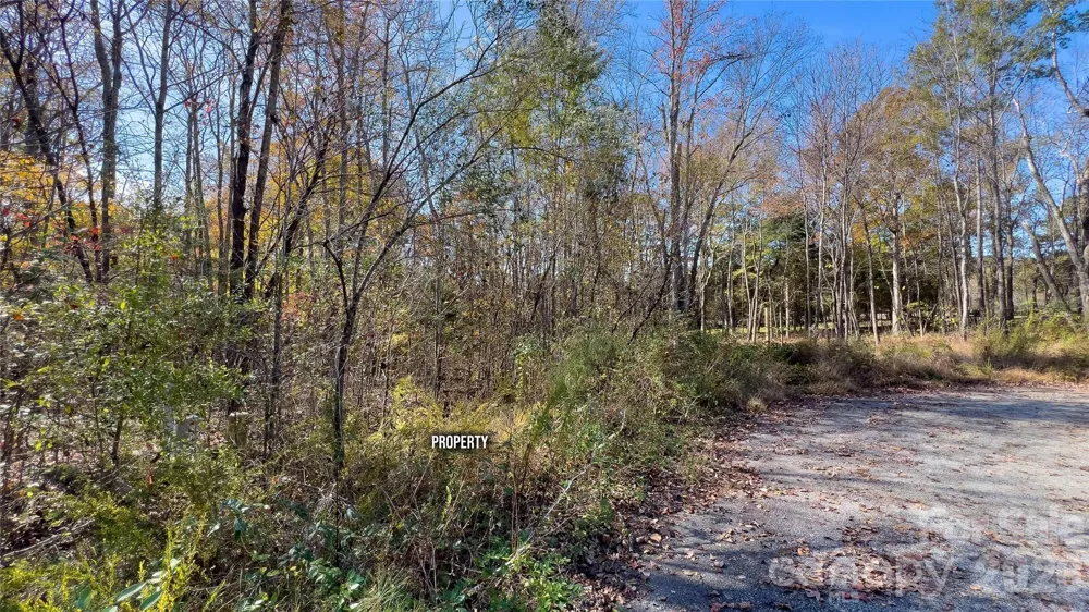 1120 Bearwick Court Woodleaf, NC 27054