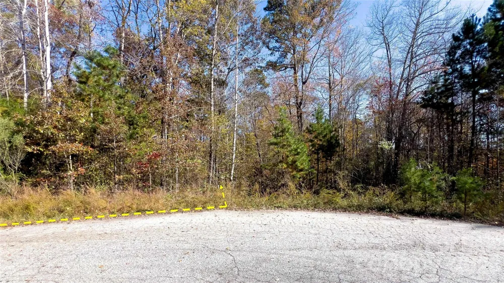 1120 Bearwick Court Woodleaf, NC 27054