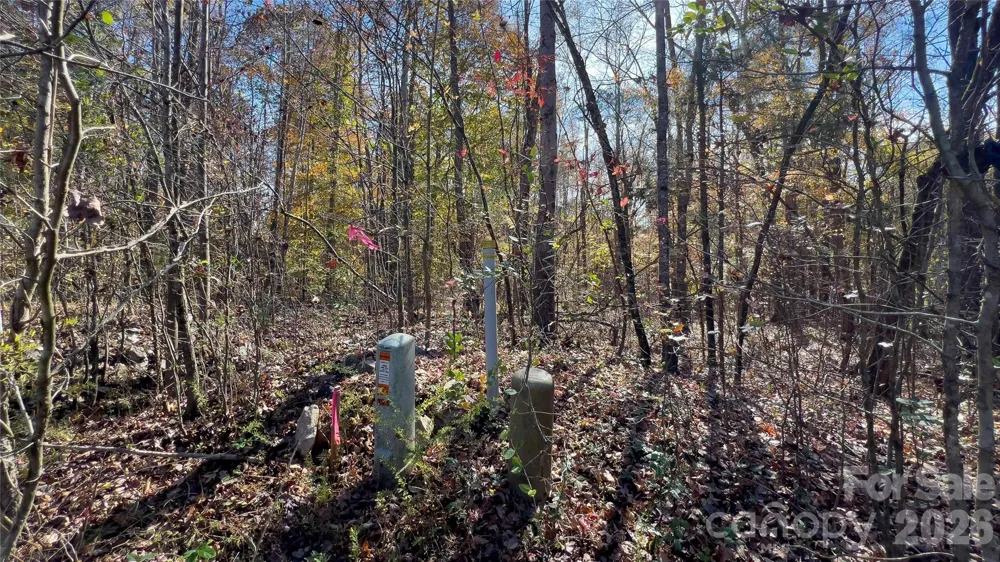 1120 Bearwick Court Woodleaf, NC 27054