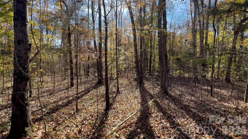 1120 Bearwick Court Woodleaf, NC 27054