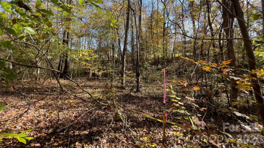 1120 Bearwick Court Woodleaf, NC 27054