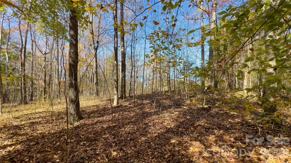 1120 Bearwick Court Woodleaf, NC 27054