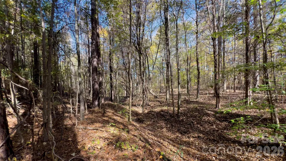 1120 Bearwick Court Woodleaf, NC 27054