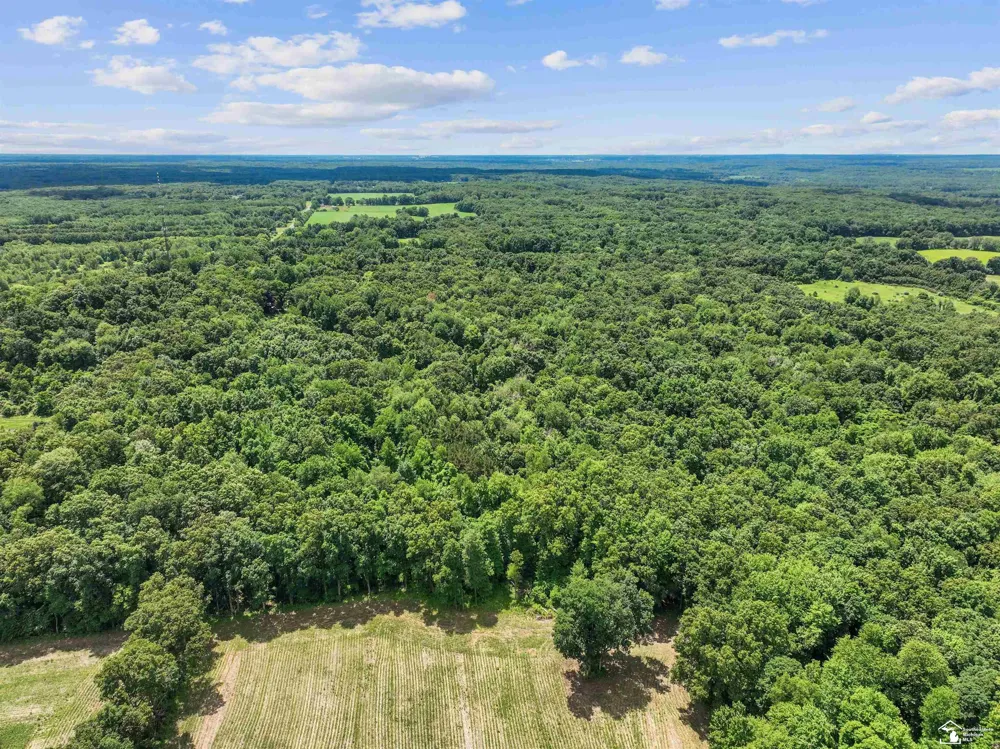 24th Street Cooper Charter Township, MI 49080